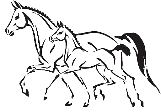 Logo deux chevaux