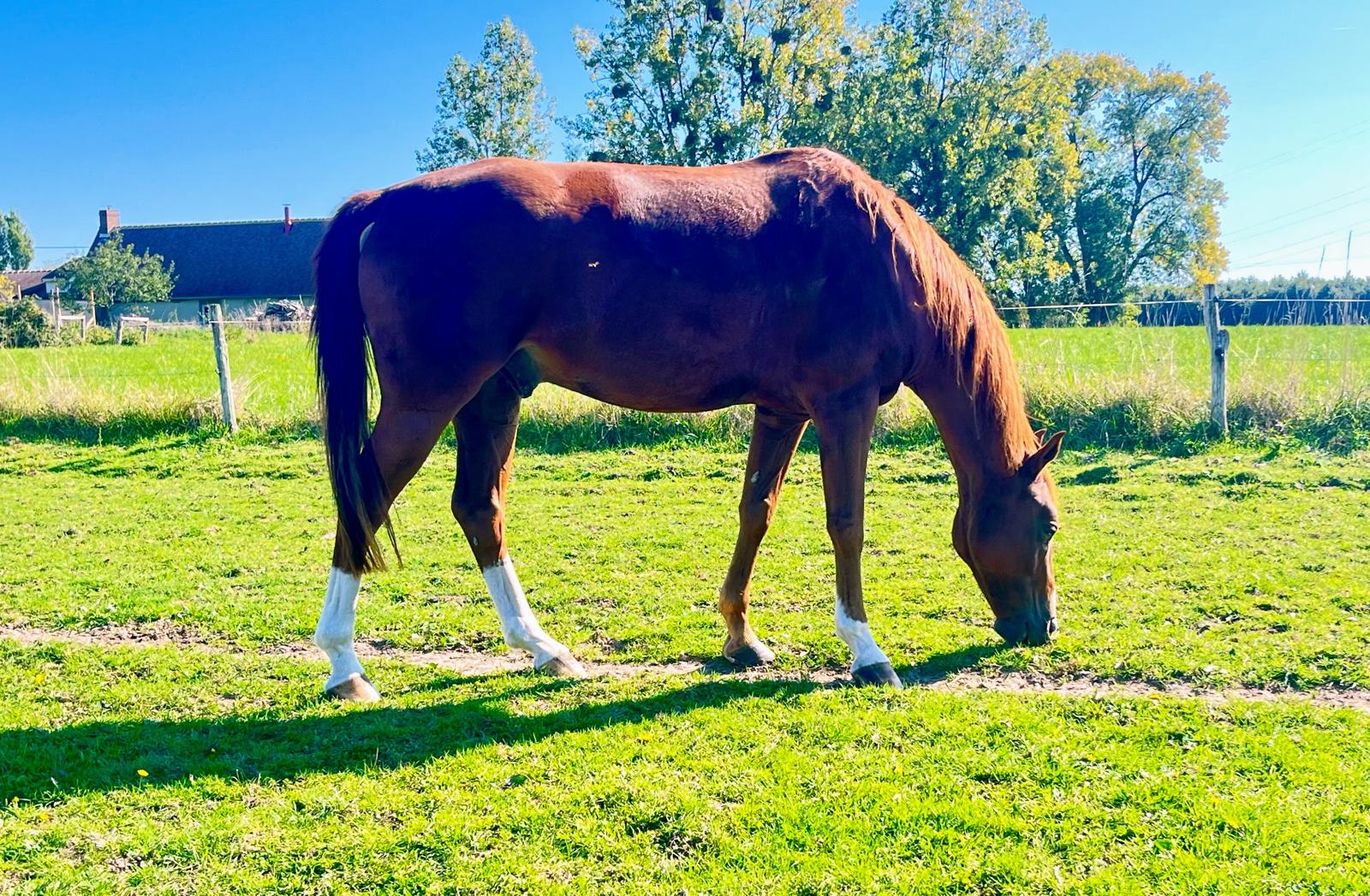 WhatsApp Image 2025-10-12 à 15.09.01_676e56b6