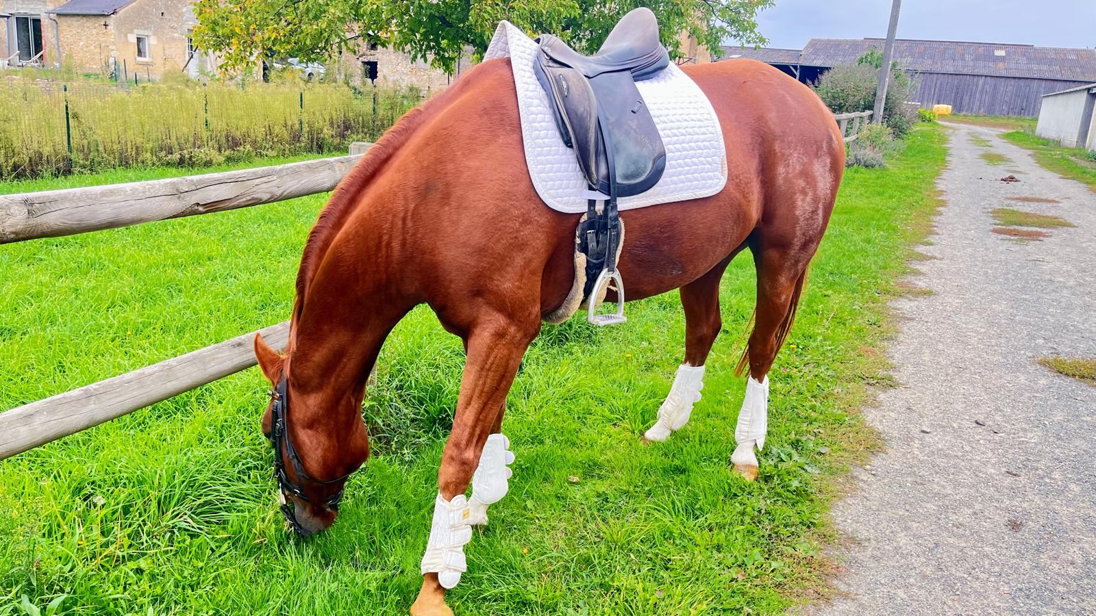 WhatsApp Image 2025-10-12 à 15.09.01_8f1c064b